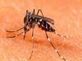 शहरात साथीच्या आजारांत वाढ - Marathi News | Increase in pandemic ailments in the city | Latest pimpri-chinchwad News at Lokmat.com