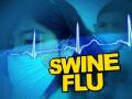 जिल्हा रुग्णालयात चार स्वाईन फ्लू रुग्ण दाखल - Marathi News | In the district hospital, four swine flu patients filed | Latest nashik News at Lokmat.com