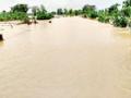 त्या गावांना दरवर्षी बसतो पुराचा फटका संतोष बुकावन । - Marathi News | Every year the villages are flooded with floods, Santosh Bakawati. | Latest gondia News at Lokmat.com
