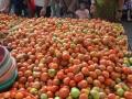 टोमॅटो, वाटाण्याने गाठली ऐंशी - Marathi News | Tomato, peaked with eighty | Latest kolhapur News at Lokmat.com