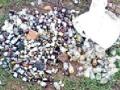 रस्त्याशेजारी फेकली हजारो रुपयांचे औषध - Marathi News | Drugs worth thousands of rupees beside the road | Latest bhandara News at Lokmat.com