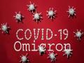 Omicron Case Found In India: मोठी बातमी! ओमायक्रॉन अखेर भारतात पोहोचला; कर्नाटकात दोन रुग्ण सापडले - Marathi News | CoronaVirus Omicron: Big News! Two cases of Omicron were found in India, Karnataka | Latest national News at Lokmat.com
