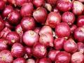 ‘आयात केलेला कांदा वेळेवर न दिल्याने नुकसान’ - Marathi News | 'Loss of timely supply of imported onion' | Latest mumbai News at Lokmat.com