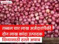 तब्बल चार लाख अर्जदारांपैकी दाेन लाख कांदा उत्पादक विम्यासाठी ठरले अपात्र - Marathi News | | Latest pune News at Lokmat.com