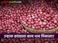 Onion Market : नाशिक बाजार समितीत उन्हाळ कांदा दरात घसरण, वाचा आज काय भाव मिळाला? - Marathi News | Latest News summer onion price down in Nashik market Yards, read market price | Latest agriculture News at Lokmat.com