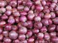 महिनाअखेरपर्यंत हजार टन कांदा आयात होणार - Marathi News | Thousands of tonnes of onion will be imported by the end of the month | Latest national News at Lokmat.com