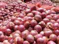 कांदा रडवणार! आवक घटल्याने मुंबईत दरामध्ये लक्षणीय वाढ - Marathi News | Significant increase in onion rates in Mumbai due to declining supply | Latest maharashtra News at Lokmat.com