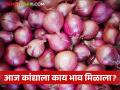 Onion Bajarbhav : धाराशिव बाजारात लाल कांद्याला काय भाव मिळाला? आजचे कांदा बाजारभाव - Marathi News | Latest News Today red and summer onion market price in market yards check here | Latest agriculture News at Lokmat.com