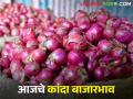 पुणे-मुंबईत घसरण, लासलगावला कांद्याला काय भाव मिळाला? वाचा आजचे बाजारभाव  - Marathi News | latest News 23 Feb 2024 Todays Onion Market In Nashik maharashtra | Latest agriculture News at Lokmat.com