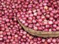 आवक घटली, कांदा दर उतरला, सौदे सुरळीत : बाजार समितीतील चित्र - Marathi News | Inflows fell, onion prices fell | Latest kolhapur News at Lokmat.com