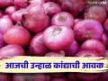 Onion Market : सोलापूर बाजारात काय भाव मिळाला? वाचा आजचे कांदा बाजारभाव  - Marathi News | Onion Market: What was the price in Solapur market? Read today's onion market price | Latest agriculture News at Lokmat.com