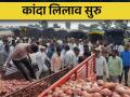 कांदा लिलाव सुरु, आजच्या बाजारभावाकडे लक्ष  - Marathi News | | Latest agriculture News at Lokmat.com