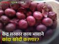 केंद्र सरकार लवकरच २ लाख टन कांदा खरेदी करणार - Marathi News | The central government will soon buy 2 lakh tonnes of onion | Latest agriculture News at Lokmat.com
