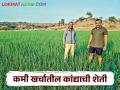 कांदा पिकातील उत्पादन खर्च कमी करण्यासाठी बाळासाहेबांनी केली अशी शेती - Marathi News | Farming done by Balasaheb to reduce production cost of onion crop | Latest agriculture News at Lokmat.com