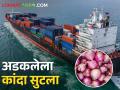 Onion Export २५० कंटेनरमधील ७ हजार टन माल विदेशामध्ये झाला रवाना - Marathi News | Onion Export 7000 tons of goods in 250 containers were sent abroad | Latest agriculture News at Lokmat.com