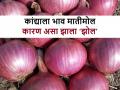 शेतकरी बांधवांनो, तुमच्या कांद्याचे बाजारभाव का पडत आहेत? समजून घ्या - Marathi News | why are the market prices of onions are falling? revels horticulture produce exporters association | Latest agriculture News at Lokmat.com