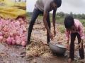 कांदा उत्पादकाच्या मुलीला आ. नार्वेकर यांची मदत - Marathi News | MLA Milind Narvekar helps onion farmer daughter | Latest mumbai News at Lokmat.com