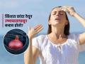 खिशात कांदा ठेवून उन्हात गेलं तर ऊन बाधत नाही, हे खरं की खोटं? उष्माघात टाळायचा तर.. - Marathi News | Is keeping onion in pocket during summer can avoid heatstroke or heatwave, know the facts | Latest sakhi News at Lokmat.com