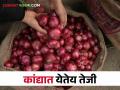 Onion Market मंचर बाजार समितीत कांद्याला कसा मिळाला भाव? - Marathi News | Onion Market: How did get onion market price in Manchar market committee? | Latest agriculture News at Lokmat.com