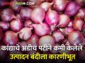 कृषी विभागाचा कांदा उत्पादन घाेळ उठला शेतकऱ्यांच्या जीवावर - Marathi News | Onion production of agriculture department has cost the lives of farmers | Latest agriculture News at Lokmat.com