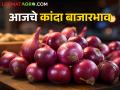 Onion Market : सोलापूर, नाशिकमध्ये कांद्याची सर्वाधिक आवक, लाल-उन्हाळ कांद्याचे आजचे बाजारभाव  - Marathi News | Latest News 12 march todays onion market price in nashik and maharashtra | Latest agriculture News at Lokmat.com
