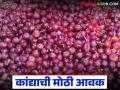 Kanda Bajarbhav : बाजार समितीमध्ये कांद्याची मोठी आवक; कसे मिळाले दर वाचा सविस्तर - Marathi News | latest news Kanda Bajarbhav: Large arrival of onions in the market committee; Read in detail how the prices were obtained | Latest agriculture News at Lokmat.com