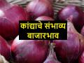 ऑक्टोबर ते डिसेंबर दरम्यान कांद्याचे संभाव्य बाजारभाव असे असतील - Marathi News | onion market price in October and November month | Latest agriculture News at Lokmat.com