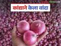 कांदा बाजारभाव जैसे थे; आर्थिक संकटांमुळे शेतकऱ्यांना नाईलाजास्तव करावी लागतेय विक्री - Marathi News | Onion market prices remained the same; farmers are forced to sell at a loss due to economic crisis | Latest agriculture News at Lokmat.com