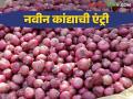 Kanda Bajar Bhav : मंचर बाजार समितीत कांदा बाजारभावात वाढ कसा मिळतोय दर - Marathi News | Kanda Bajar Bhav : Increase in onion market price in Manchar Market Committee how is getting market price | Latest agriculture News at Lokmat.com