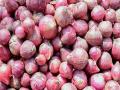 बाजार समित्यांमधून कांदा खरेदीचे 'नाफेड'ला निर्देश - Marathi News | Instructions to 'NAFED' to procure onion from market committees | Latest agriculture News at Lokmat.com