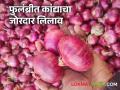Onion Market : फुलंब्री बाजारात ७२५ क्विंटल कांद्याची उलाढाल वाचा सविस्तर - Marathi News | latest news Onion Market: Read the details of the turnover of 725 quintals of onion in Fulambri Market | Latest agriculture News at Lokmat.com