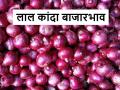 Red Onion Market: लाल कांदा दिवाळीनंतरही खाणार भाव? काय आहे कारण - Marathi News | Onion Market: Price of red onion will stable even after Diwali? What is the reason | Latest agriculture News at Lokmat.com