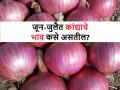 Future Onion prices: जून, जुलैमध्ये कांदा बाजारभाव कसे असतील? जाणून घ्या - Marathi News | | Latest agriculture News at Lokmat.com