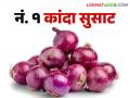 Onion Market Update : राज्याच्या बाजारात नाशिकचा कांदा अर्धाहून अधिक; वाचा काय मिळतोय दर - Marathi News | Onion Market Update: More than half of Nashik's onion in the state market; Read what rates are available | Latest agriculture News at Lokmat.com