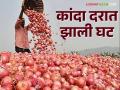 Onion Market : १० हजार ५०० पिशवी कांद्याची आवक; वाचा मंचरला काय मिळतोय दर - Marathi News | Onion Market: Afghanistan, Nafed Onion Prices Decline; Read what rate Muncher is getting | Latest agriculture News at Lokmat.com