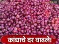 Kanda BajarBhav : शेतकऱ्यांना रडविल्यानंतर कांदा होतोय किमतीत 'लाल'; जाणून घ्या बाजारभाव सविस्तर - Marathi News | latest news Kanda BajarBhav: After making farmers cry, onion prices are going 'red'; Know the market price in detail | Latest agriculture News at Lokmat.com