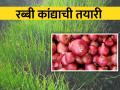 रब्बी कांदा लागवड करताय? मग हे वाचाच - Marathi News | rabbi onion Crop Management in current situation | Latest agriculture News at Lokmat.com