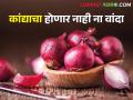 यंदा आमचं कांद्याचं पीक हाय पावरफुल; पण बाजारभावानं करू नये बत्ती गुल - Marathi News | This year our onion crop is high powerful; But the market price should not be decrease | Latest agriculture News at Lokmat.com