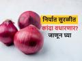 onion export: अडकलेल्या कांदा कंटेनरची निर्यात सुरू; कसे असतील कांद्याचे भाव - Marathi News | Onion export has started from India, What will be onion market prices in Lasalgaon, Pimpalgaon, Nashik and Maharashtra | Latest agriculture News at Lokmat.com