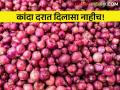 आवक घटली तरीही बाजारभाव जैसे थे, आजचे कांदा बाजारभाव  - Marathi News | Latest News 03 feb 2024 todays onion market in nashik maharashtra | Latest agriculture News at Lokmat.com