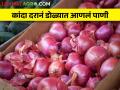 आठवडाभरात तीनशे रुपयांनी कांदा घसरला, आज काय भाव मिळाला?  - Marathi News | Latest News Onion fell by three hundred rupees in week todays onion price | Latest agriculture News at Lokmat.com