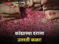 कांद्याची आवक घटली, आजचा कांदा बाजारभाव जाणून घ्या?  - Marathi News | Latest News arrival of onion decreased, know today's onion market price? | Latest agriculture News at Lokmat.com