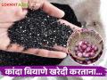Bogus Seed : बोगस कांदा बियाणे विक्रेत्यांपासून सावध राहा, कांदा शेतकरी संघटनेचे आवाहन  - Marathi News | Latest News Beware of bogus onion seed sellers, urges farmers' association  | Latest agriculture News at Lokmat.com