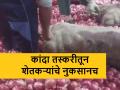 निर्यातबंदीमुळे बटाटे, द्राक्ष, संत्र्याआड कांद्याची ‘स्मगलिंग’ - Marathi News | 'Smuggling' of onions via potatos and oranges shipment due to onion export ban | Latest agriculture News at Lokmat.com
