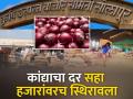सोलापूर बाजार समितीमध्ये दररोज ३०० ट्रक कांद्याची आवक - Marathi News | Inflow of 300 truckloads of onion per day in Solapur market committee | Latest agriculture News at Lokmat.com
