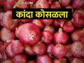सोलापुरात ९८५ ट्रक कांद्याची आवक; कसा सुरु आहे कांदा बाजारभाव - Marathi News | 985 truckloads of onions arrived in Solapur apmc; How is the onion market price going? | Latest agriculture News at Lokmat.com