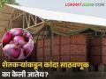 Summer Onion : शेतकऱ्यांकडून उन्हाळ कांद्याची साठवणूक का केली जातेय? वाचा सविस्तर  - Marathi News | Latest News Why are farmers storing summer onion? Read in detail | Latest agriculture News at Lokmat.com