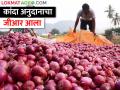 कांदा अनुदानाचा नवा जीआर आला, कुणाला मिळणार अनुदान? वाचा सविस्तर  - Marathi News | Latest News new GR of of onion subsidy has been announced by maharashtra government | Latest agriculture News at Lokmat.com