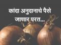 या शेतकऱ्यांना कांदा अनुदानाचे पैसे करावे लागणार परत, असा आहे प्रकार - Marathi News | farmers asked to pay back Onion subsidy | Latest agriculture News at Lokmat.com
