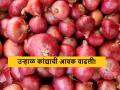 Onion Market : उन्हाळ कांद्याची आवक वाढली, आज कुठे-काय भाव मिळाला? वाचा सविस्तर  - Marathi News | Latest News 12 april Todays Summer Onion Market Price in maharashtra market yards | Latest agriculture News at Lokmat.com